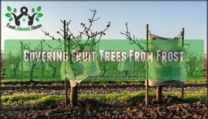 covering fruit trees from frost