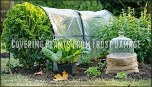 covering plants from frost damage