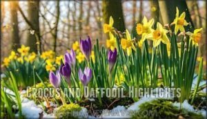 crocus and daffodil highlights