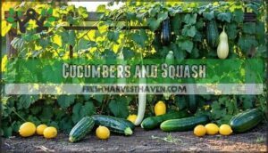 cucumbers and squash