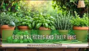 culinary herbs and their uses
