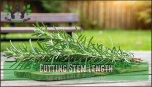cutting stem length
