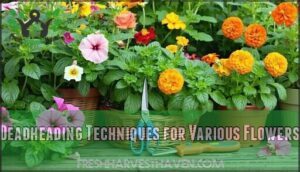 deadheading techniques for various flowers