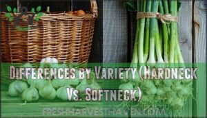 differences by variety (hardneck vs. softneck)