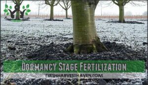 dormancy stage fertilization