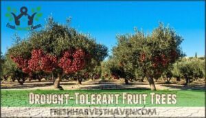 drought-tolerant fruit trees