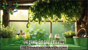 drying basil leaves