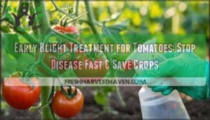 early blight treatment for tomatoes early blight treatment for tomatoes