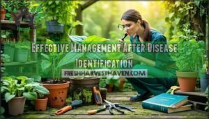 effective management after disease identification