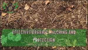 effective organic mulching and protection