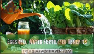 eggshell water fertilizer benefits