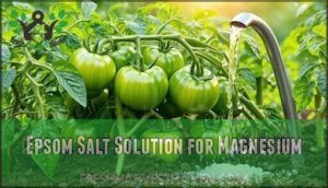 epsom salt solution for magnesium