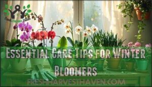 essential care tips for winter bloomers