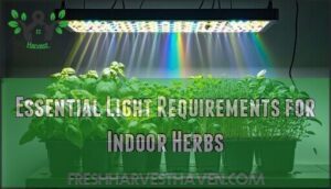 essential light requirements for indoor herbs
