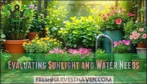 evaluating sunlight and water needs