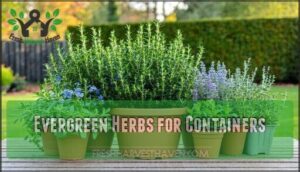 evergreen herbs for containers
