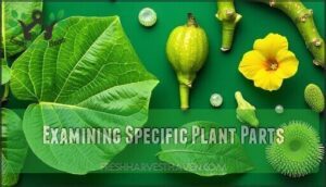 examining specific plant parts
