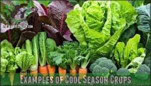 examples of cool season crops