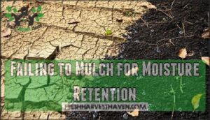 failing to mulch for moisture retention