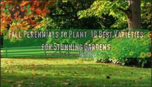 fall perennials to plant
