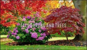 fall shrubs and trees