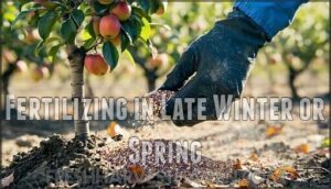 fertilizing in late winter or spring
