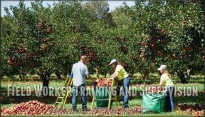 field worker training and supervision