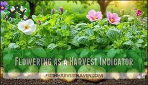 flowering as a harvest indicator