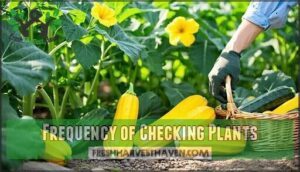 frequency of checking plants