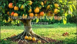 fruit development and post-harvest fertilization