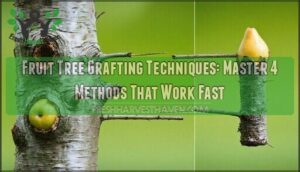 fruit tree grafting techniques