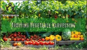 fruiting vegetable harvesting