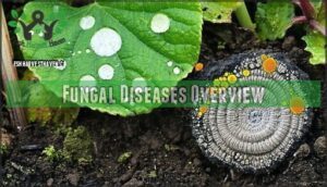 fungal diseases overview
