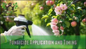 fungicide application and timing fungicide application and timing