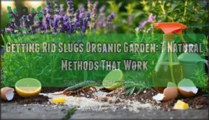 getting rid slugs organic garden