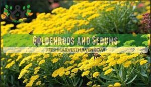 goldenrods and sedums