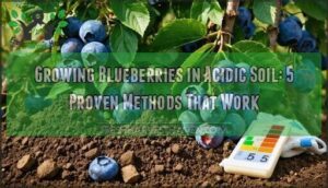 growing blueberries in acidic soil