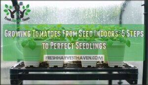 growing tomatoes from seed indoors
