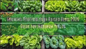 growing vegetables in raised beds