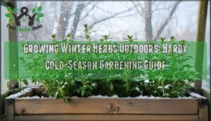 growing winter herbs outdoors