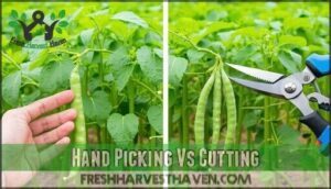hand picking vs cutting