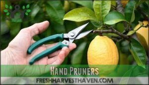 hand pruners