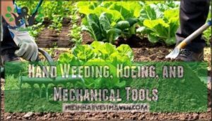 hand weeding, hoeing, and mechanical tools