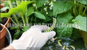 handpicking and physical barriers