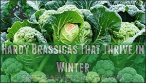 hardy brassicas that thrive in winter