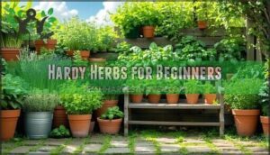 hardy herbs for beginners