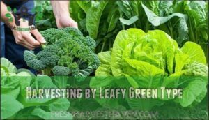 harvesting by leafy green type