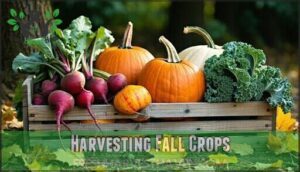 harvesting fall crops
