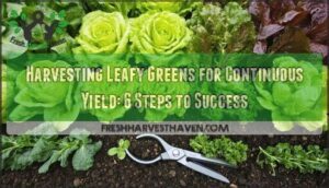 harvesting leafy greens for continuous yield