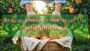 harvesting techniques to avoid bruising harvesting techniques to avoid bruising
